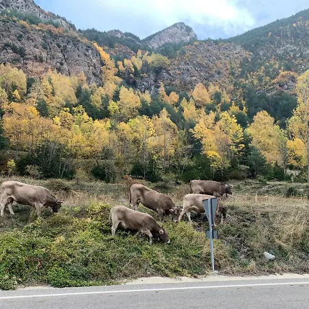 Domek alpejski En El Pirineo De Aragon *